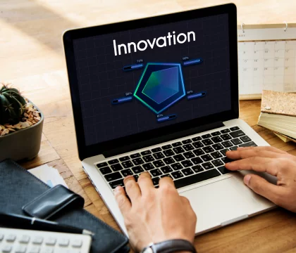 Custom Web Portal Development Services. Innovation